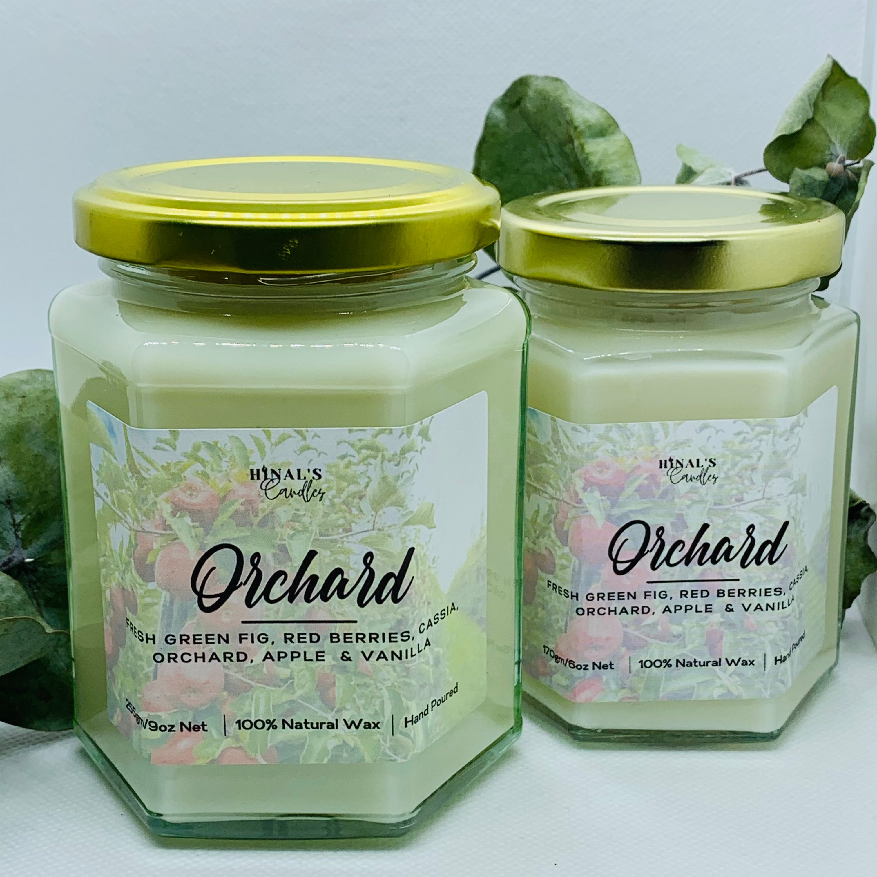 Orchard